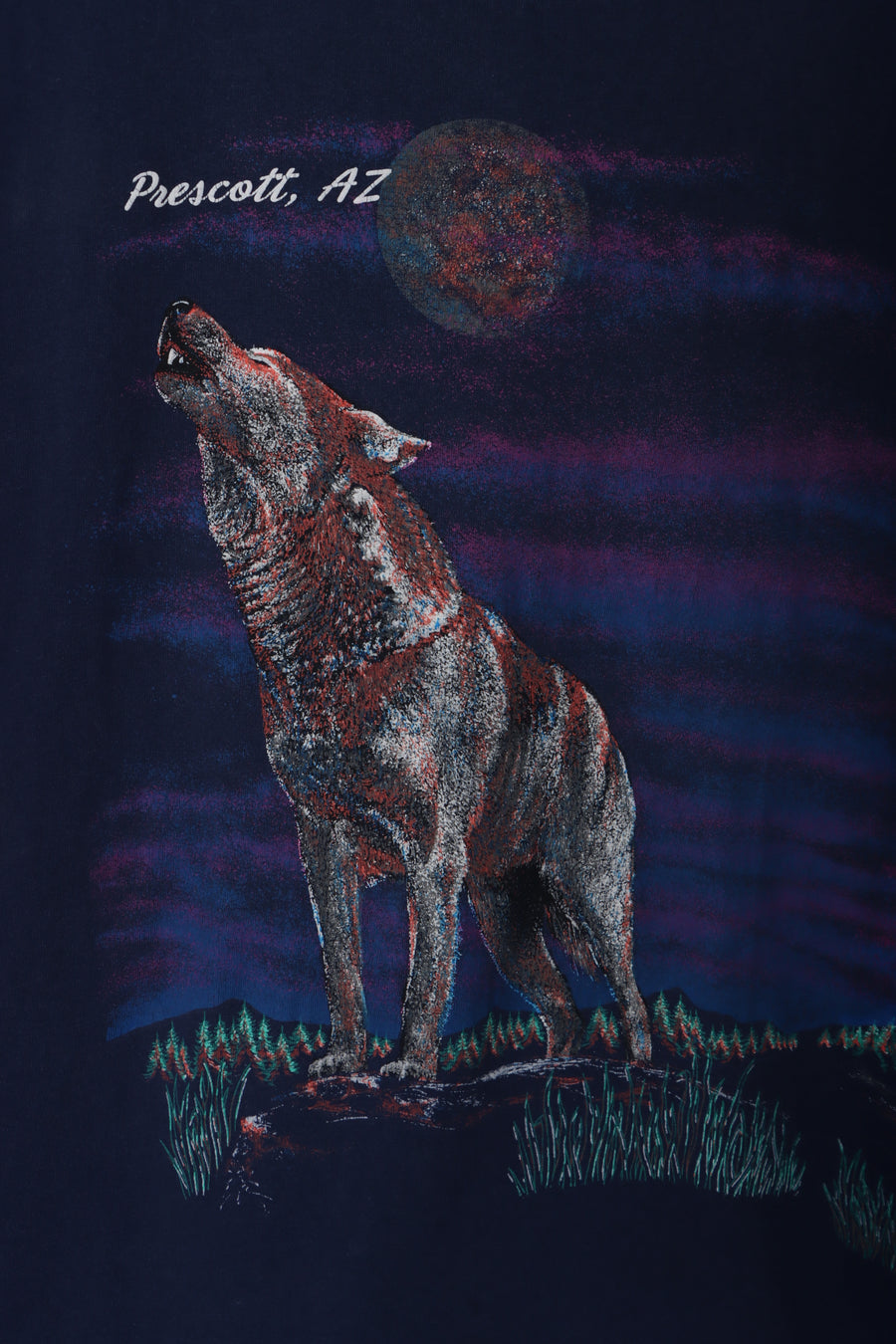 Wolf Arizona Desert Wrap Around Graphic Single Stitch T-Shirt (XL)