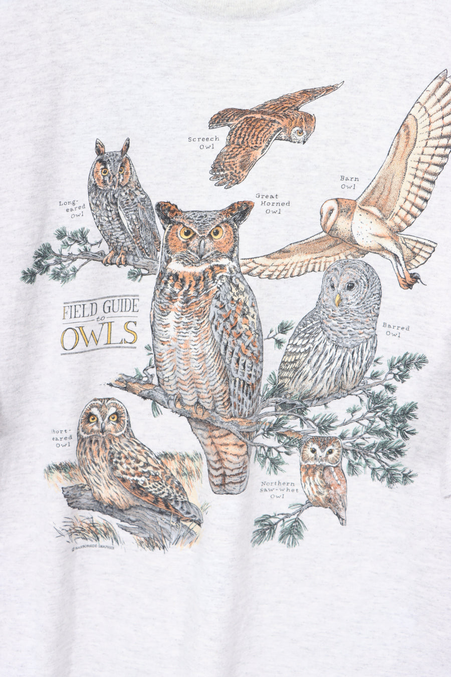 VINTAGE "Field Guide to Owls" Grey Animal Single Stitch T-Shirt (L)