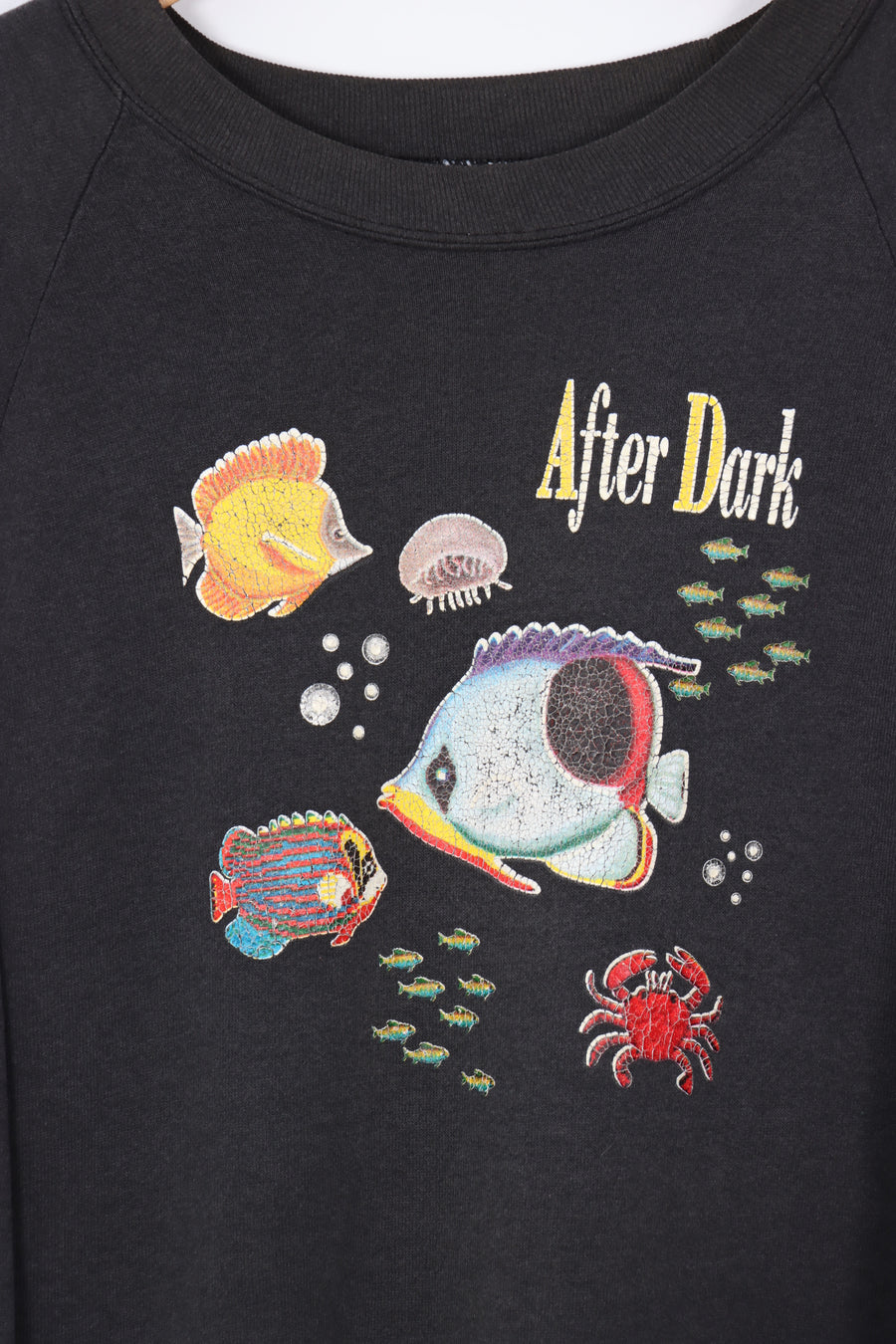 After Dark Fish & Nature Graphic Sweatshirt (L-XL)