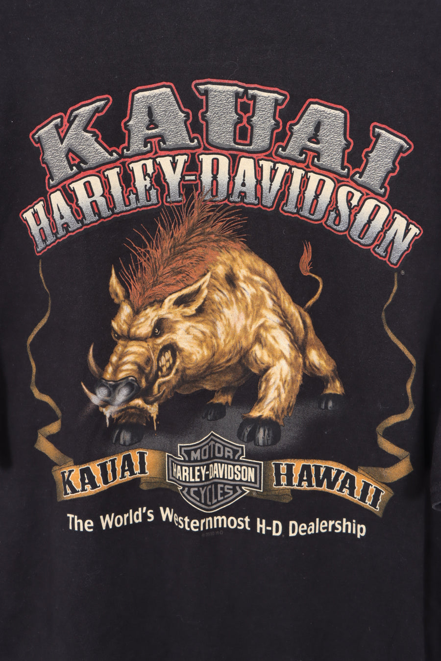 HARLEY DAVIDSON Hog Graphic Kuai Hawaii Westernmost Dealership Tee (L)