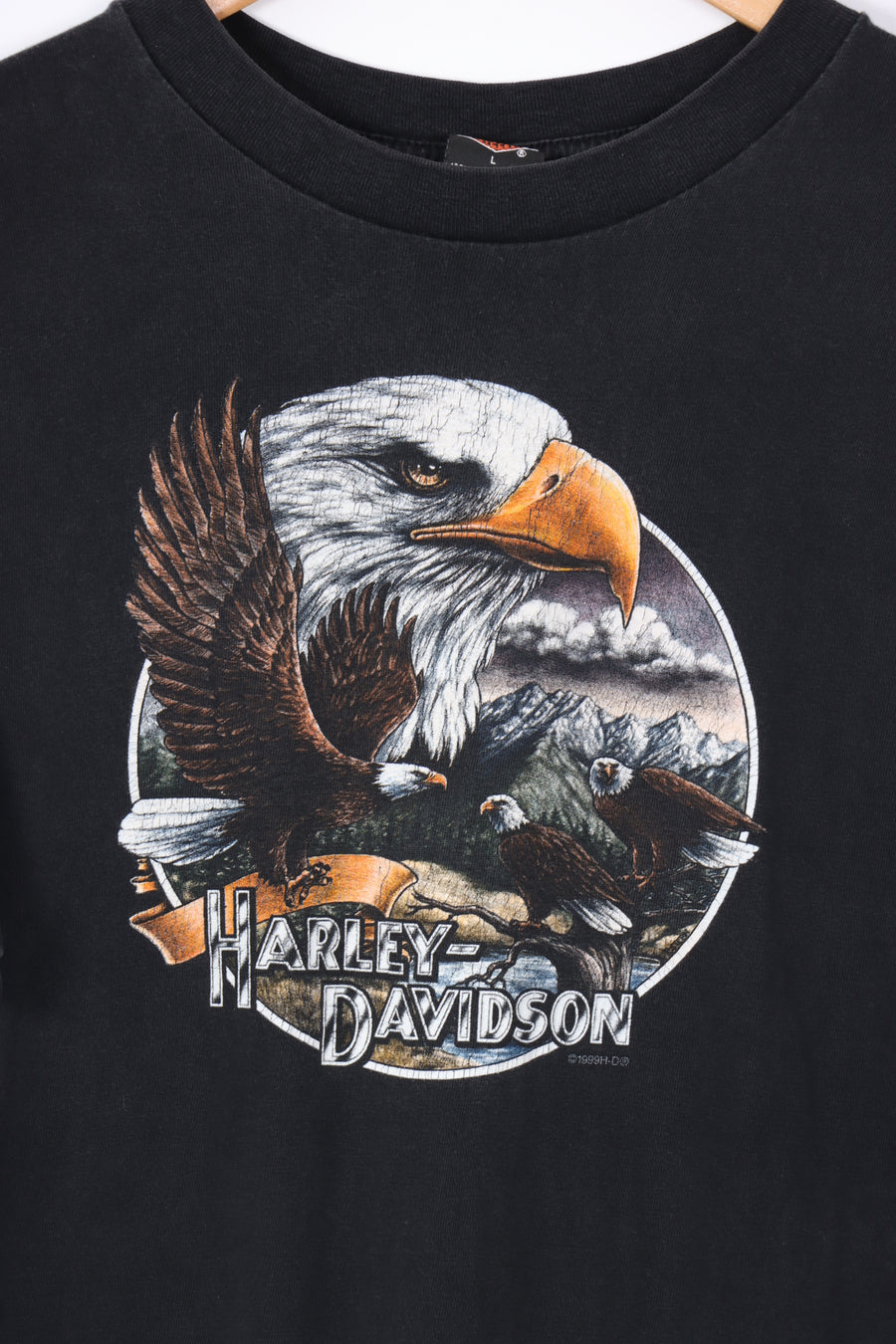 1999 Vintage HARLEY DAVIDSON Eagle & Nature Animal Tee (M)