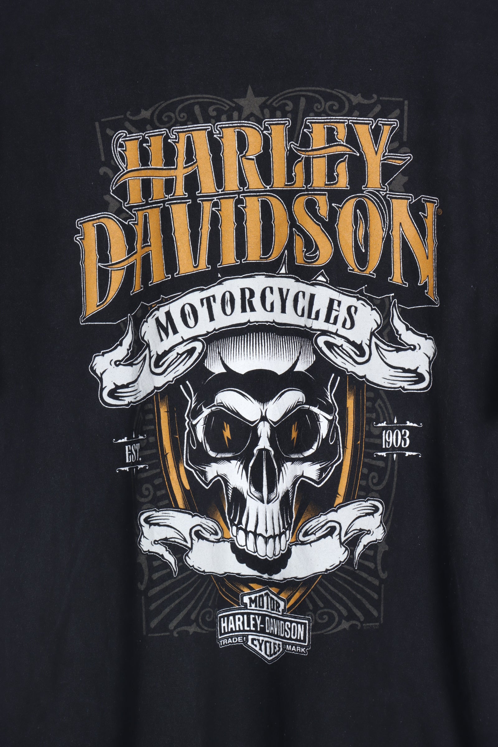 HARLEY DAVIDSON Skull High Desert Idaho Front Back Tee S M Vintage Sole Melbourne