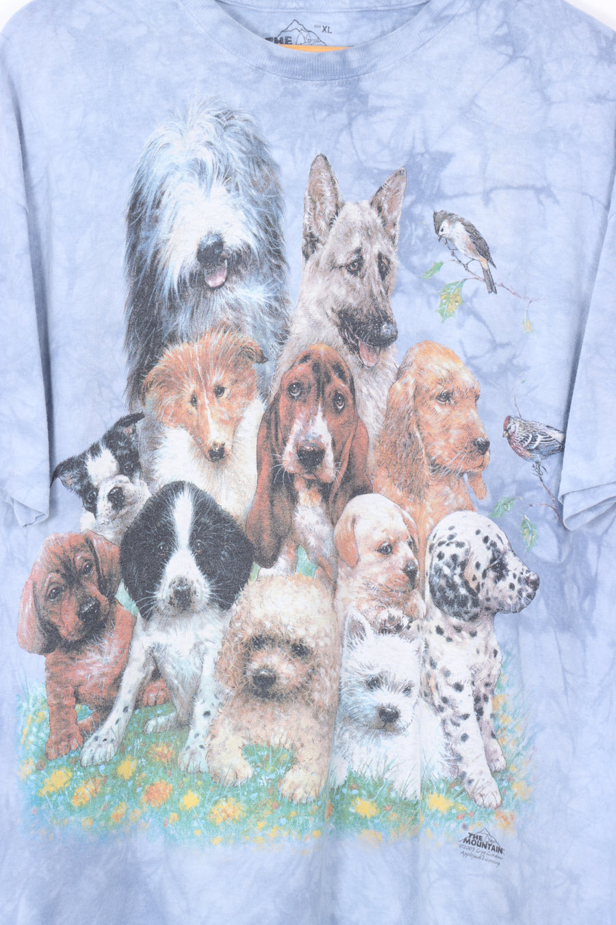 THE MOUNTAIN Puppies & Dogs Tie Dye T-Shirt (XL)