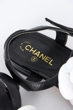 CHANEL Youth Leather Camellia T-Bar Thong Sandals (5)